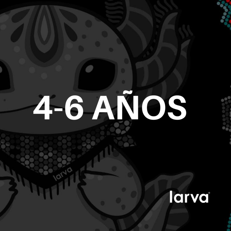 B 4-6 AÑOS