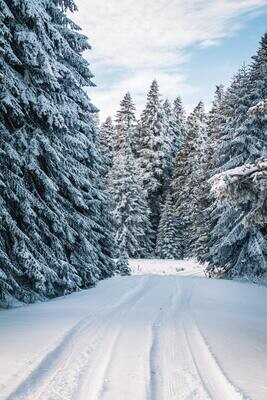 Winter