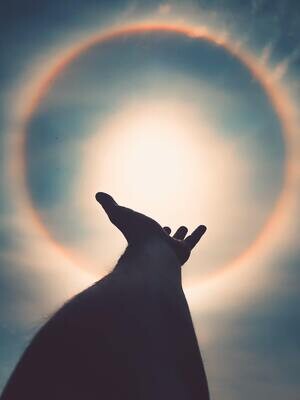 Spiritual