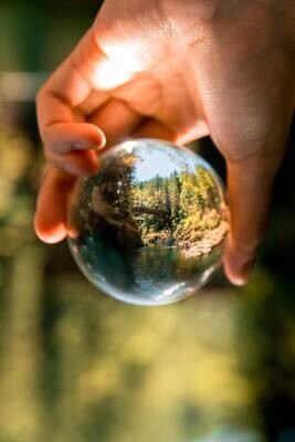 Environment