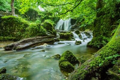 Nature