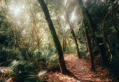 Visa mig Herre, din väg