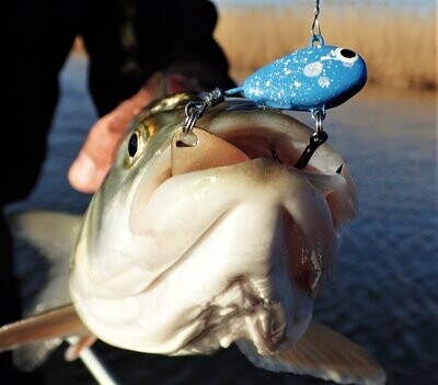 Tail Spinners & Spinnerbaits