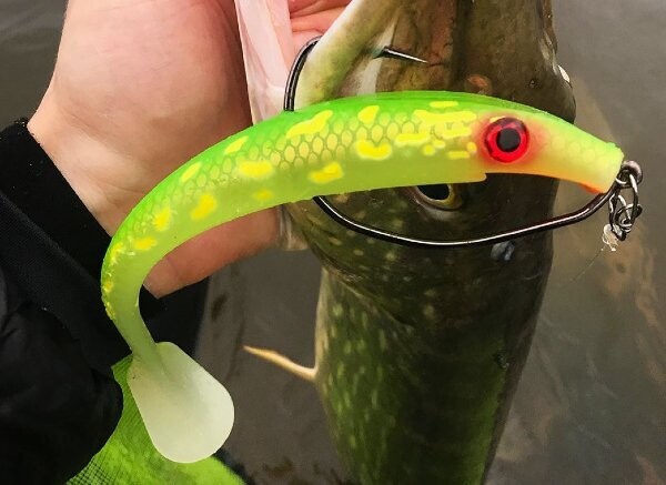 Māneklis PIG SHAD JR 20CM, 50GR (1GAB)