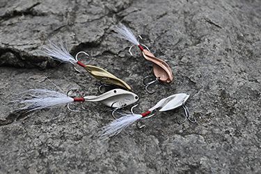 Vizulis ziemas Daiga Vizulis ziemas Daiga "Vinta" #7