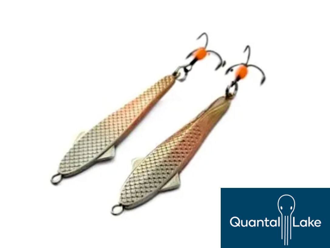 Vizulis Quantal Lake Avis 55