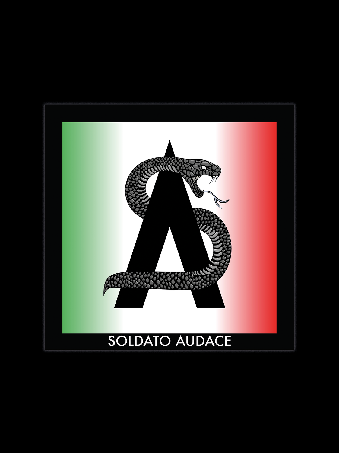 Soldato Audace quadrato