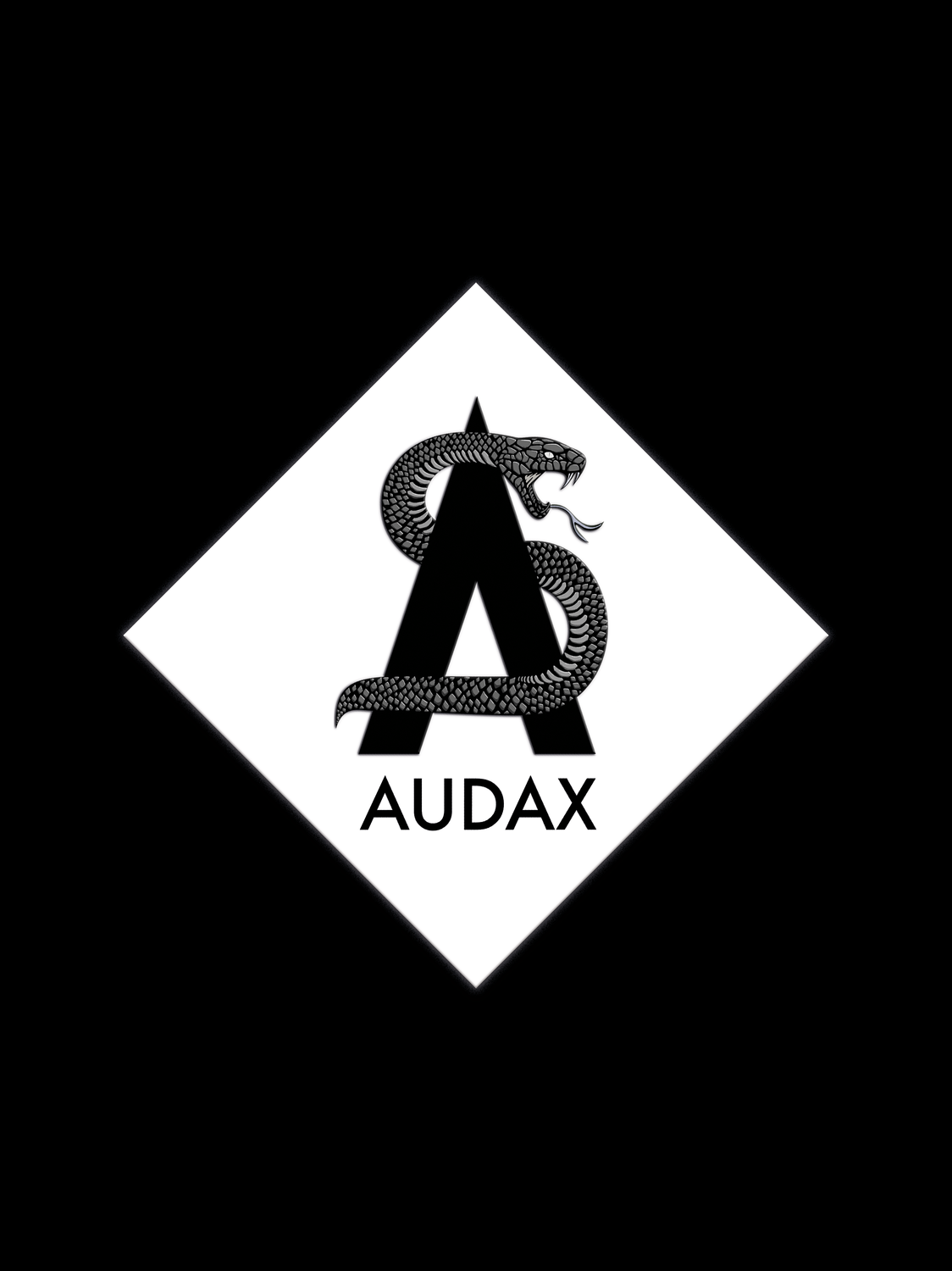 AUDAX bianco