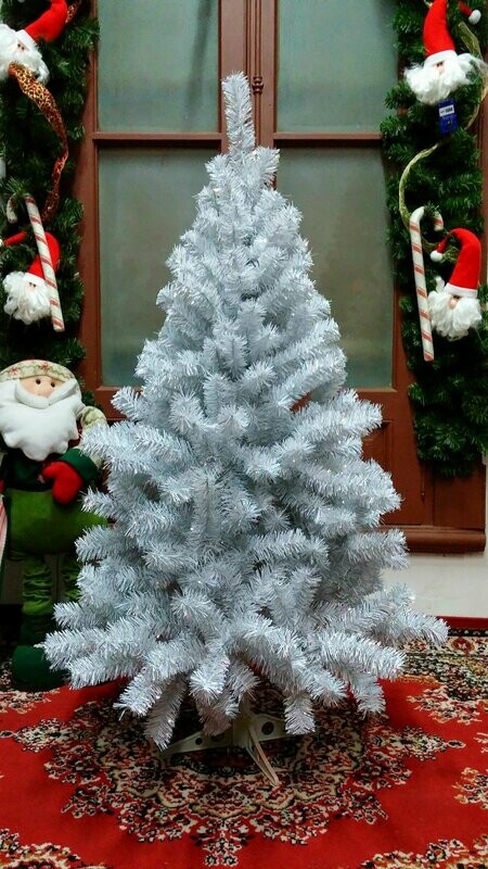 Arbusto Belen