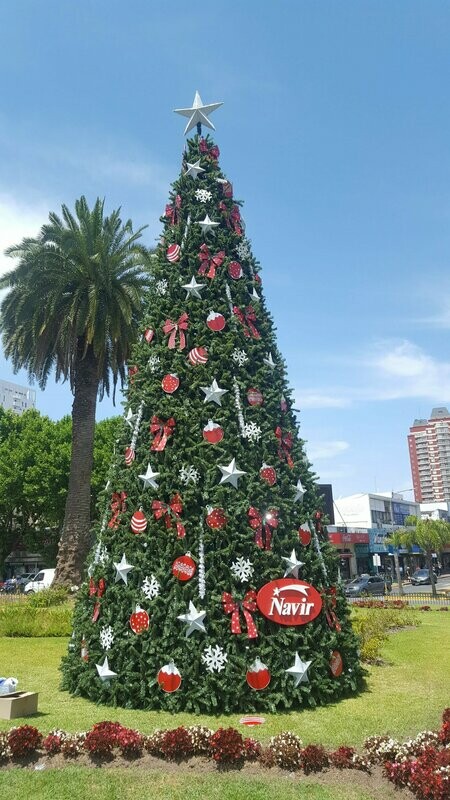 arbol de estructura
