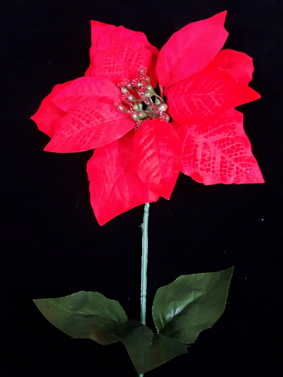 estrella federal felpa