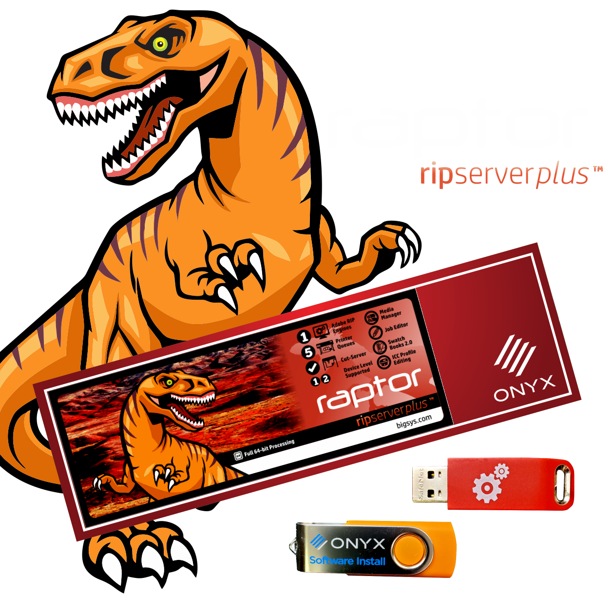 Raptor RIPserver Plus Software v22.5