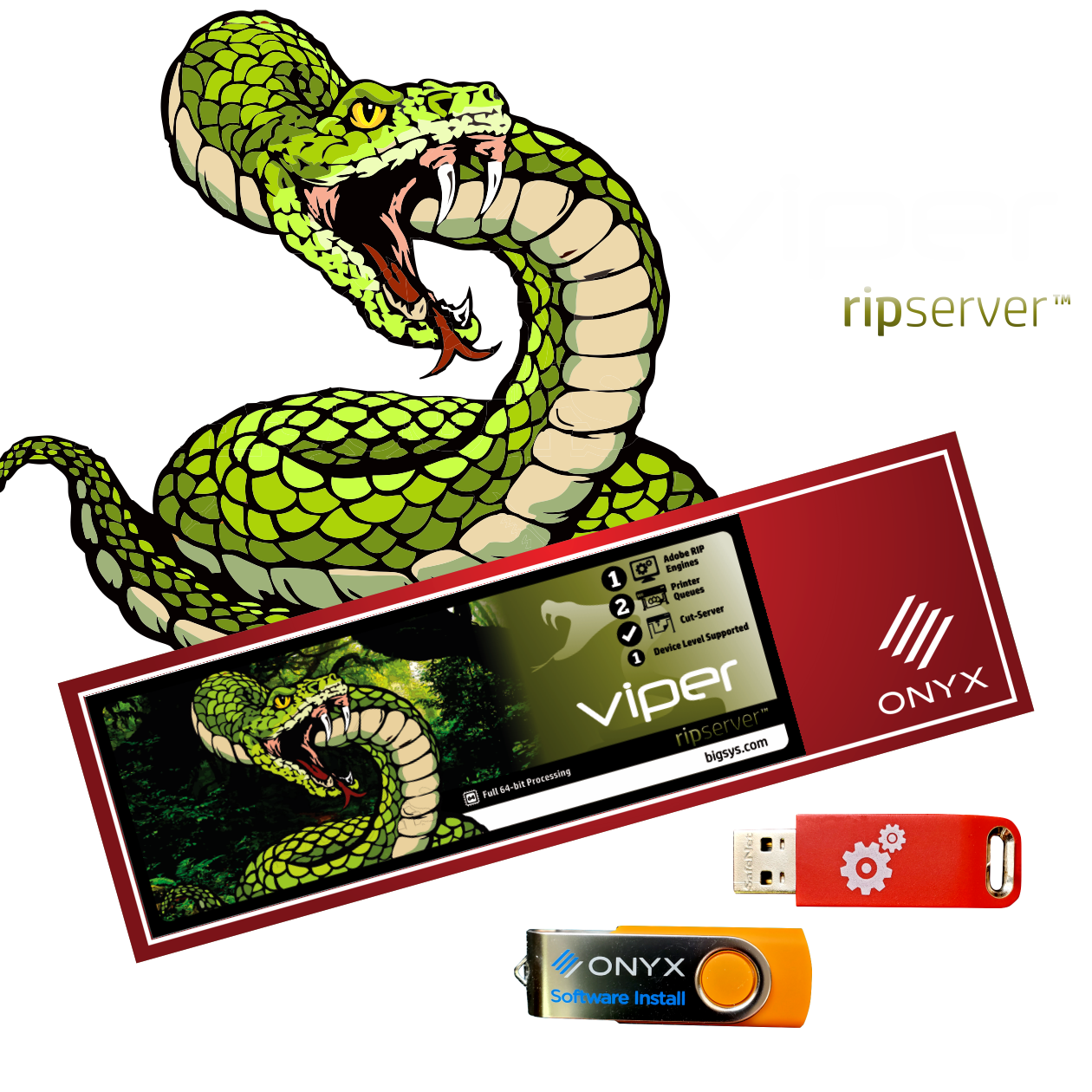 Viper RIPserver Software v22.5