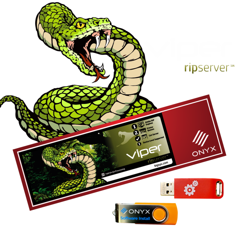 Viper RIPserver Software v24