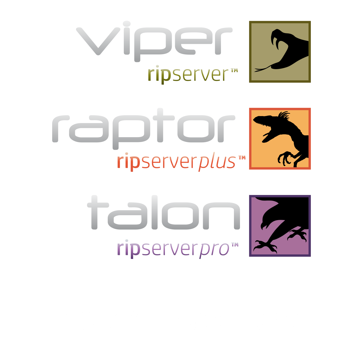 VRT Special Edition RIP Software Accessories