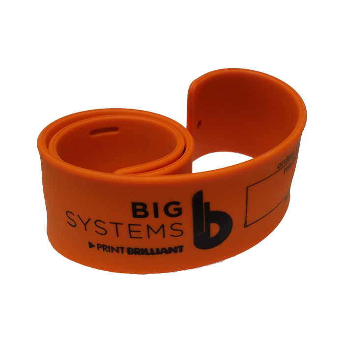 Big Systems Media Band