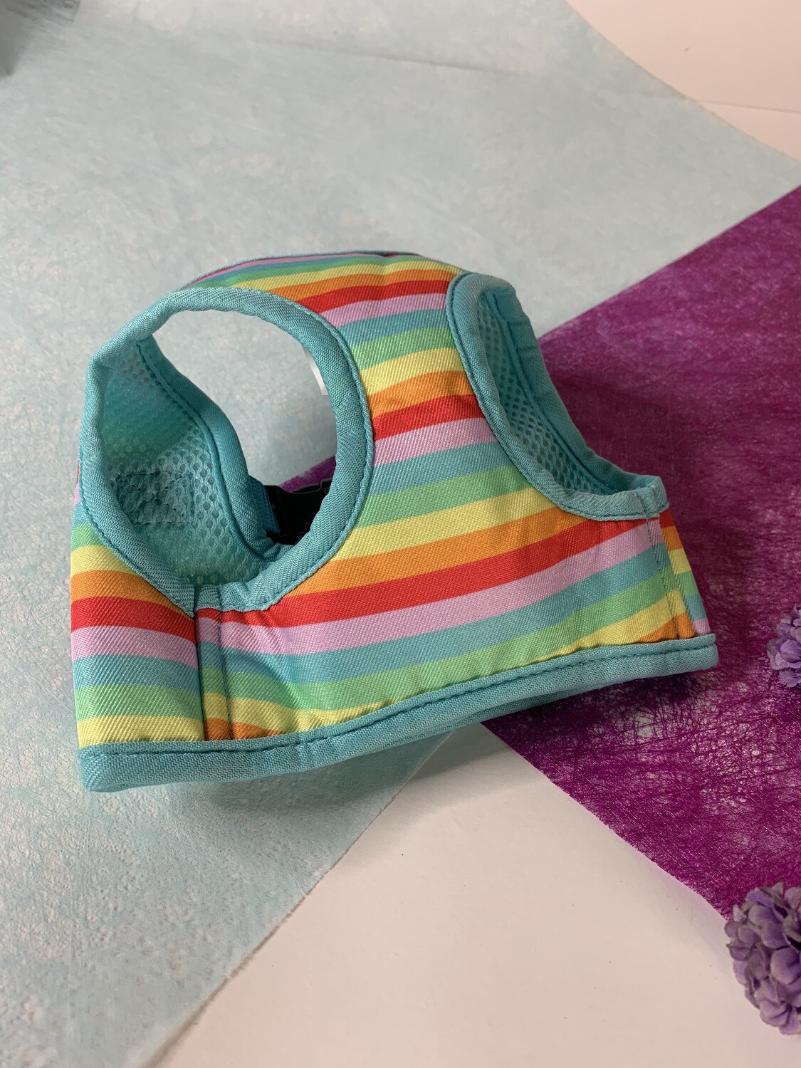 Raibow harness