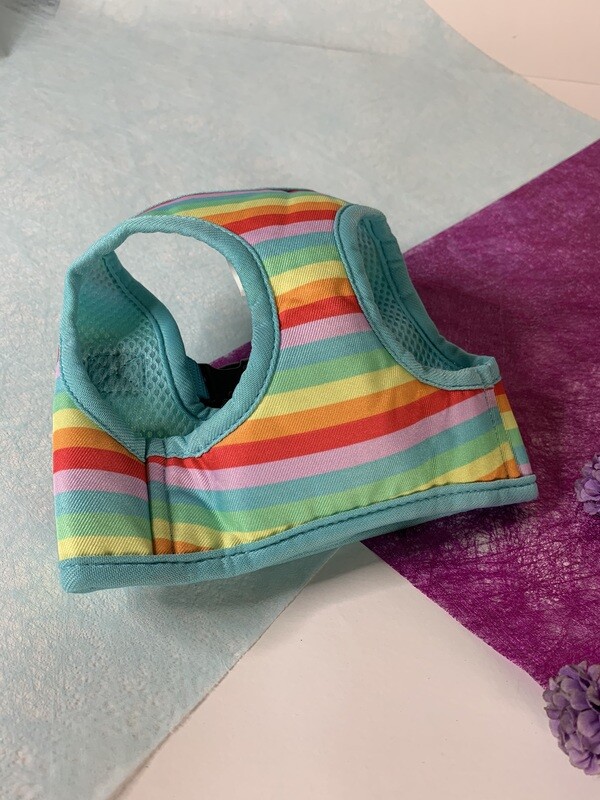 Raibow harness