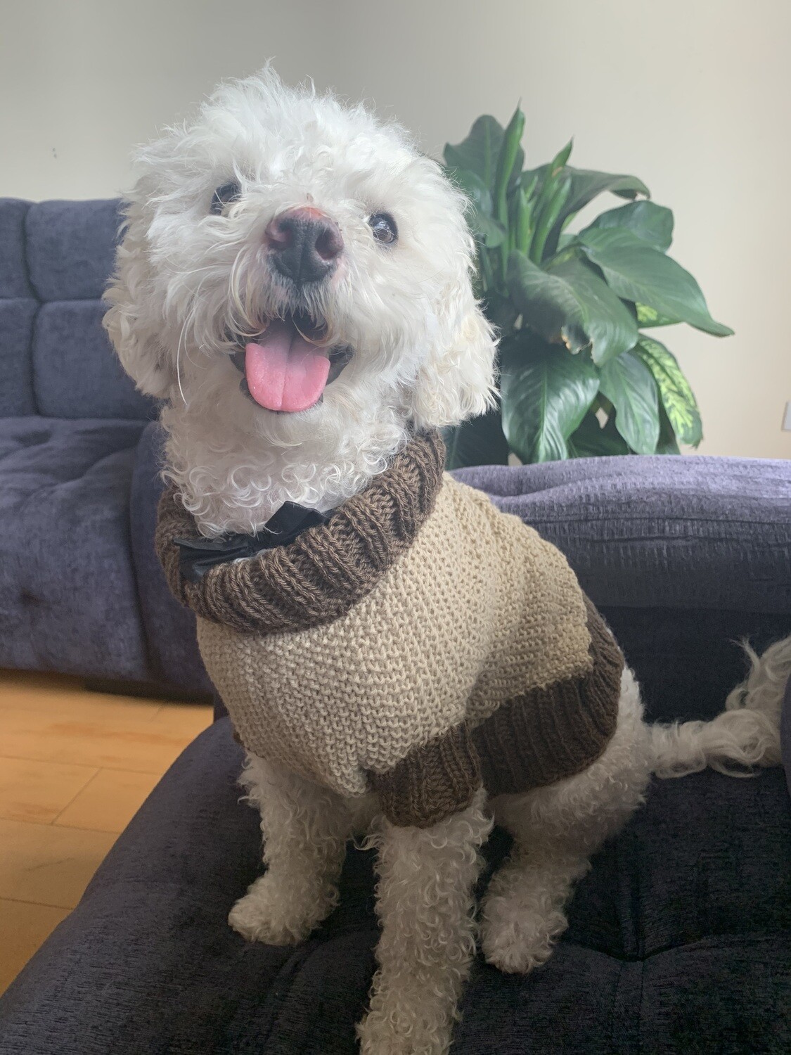 Saco Dogue