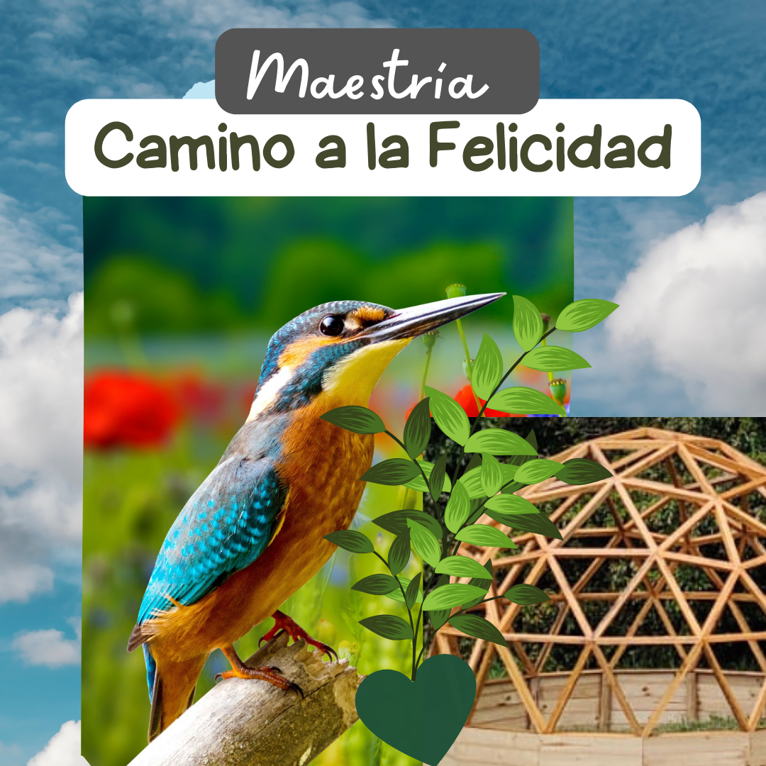 Maestría Camino a la Felicidad
