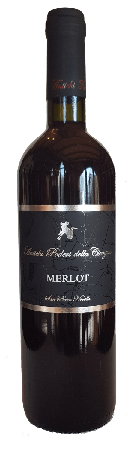 MERLOT IGT VENETO