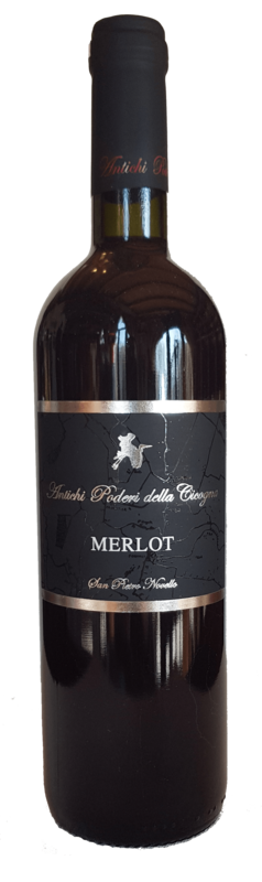 MERLOT IGT VENETO