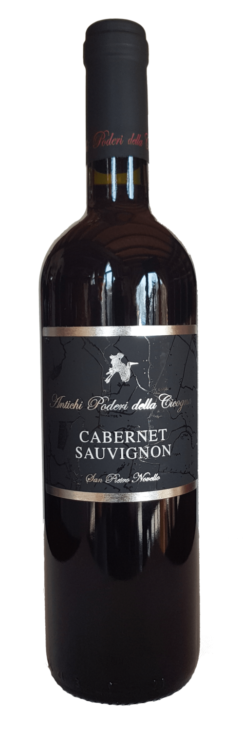 CABERNET SAUVIGNON IGT VENETO