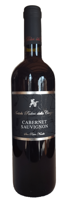 CABERNET SAUVIGNON IGT VENETO