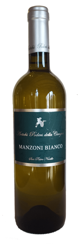 MANZONI BIANCO IGT VENETO