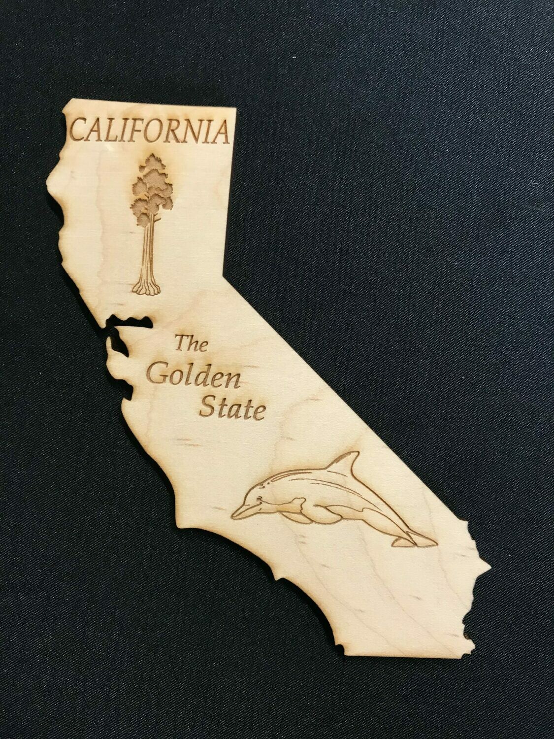 State Magnet