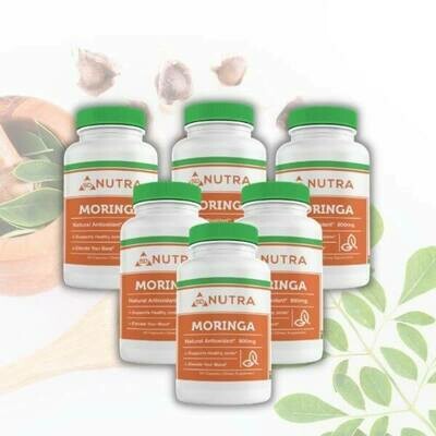 Moringa Oleifera (Leaf) 60 Caps - 6 Bottles Moringa Oleifera (Leaf) 60 Caps - 6 Bottles