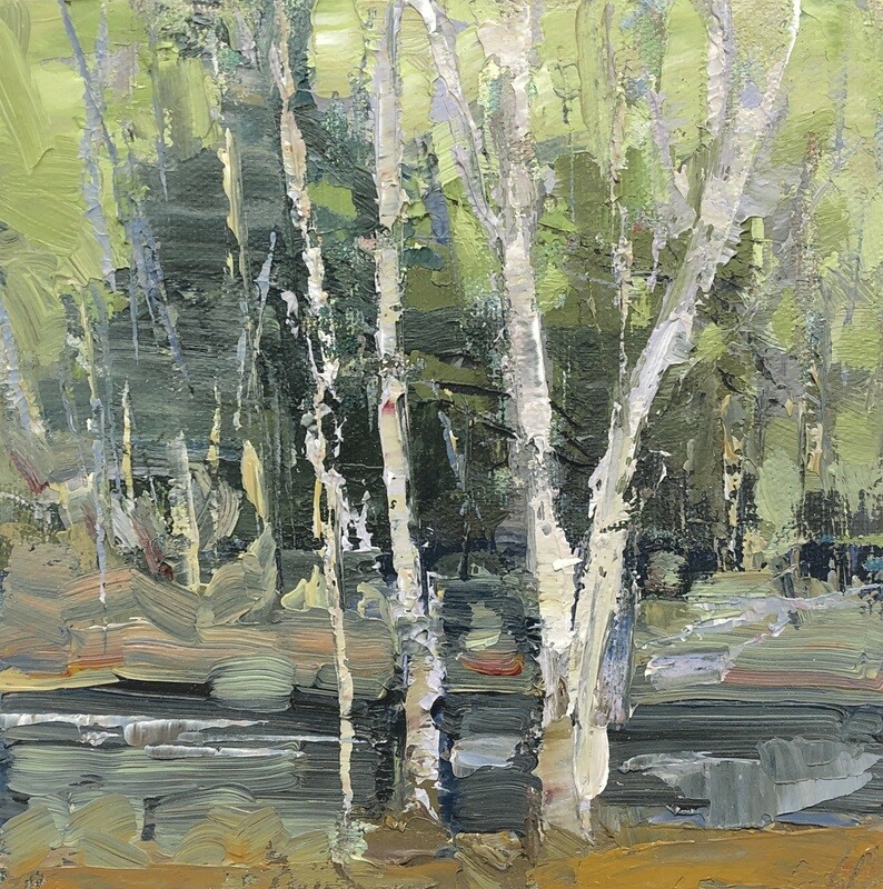 The Birches near the Stream, 6"x6"