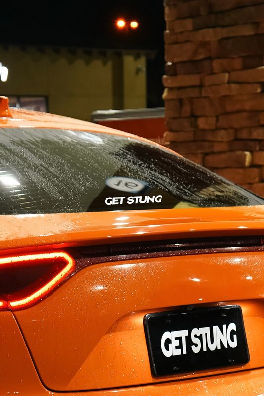 GET STUNG DECALS