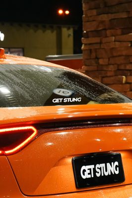 GET STUNG DECALS