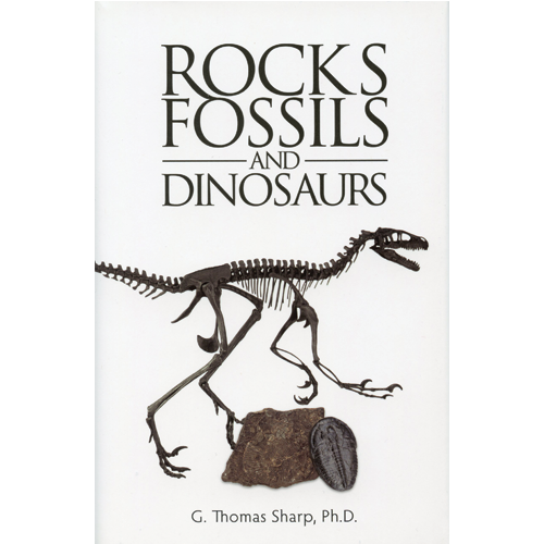 Rocks, Fossils and Dinosaurs