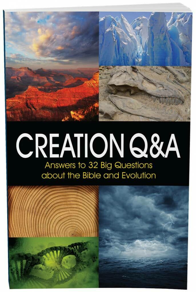 Creation Q&A
