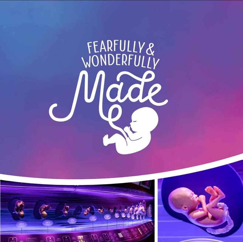 Fearfully & Wonderfully Made-Hardback