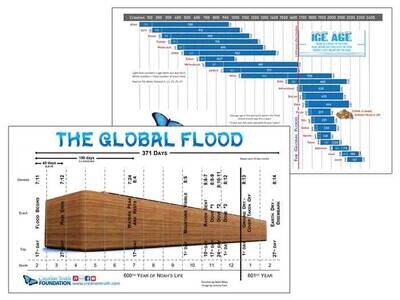 Genesis and Flood Timelines