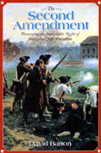 The Second Amendment
