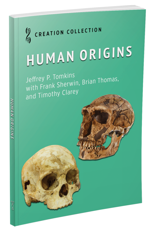 Human Origins