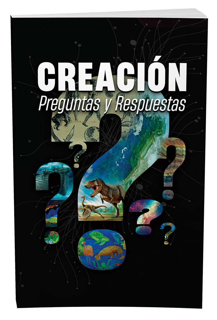 Creación Preguntas Y Respuestas (Spanish)