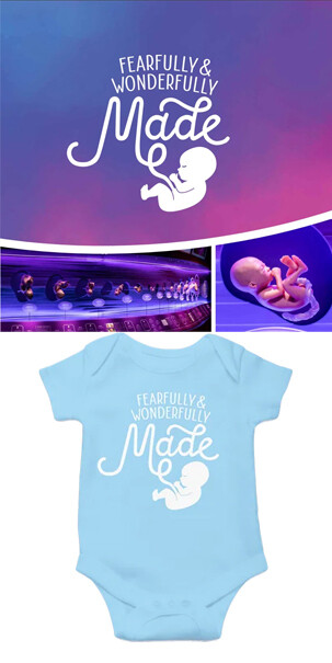 Fearfully & Wonderfully Made Onesie Light Blue Bundle-6 Month