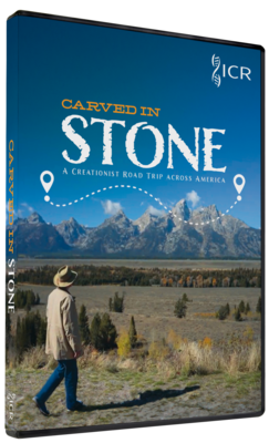Carved in Stone DVD