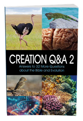 Creation Q&A 2