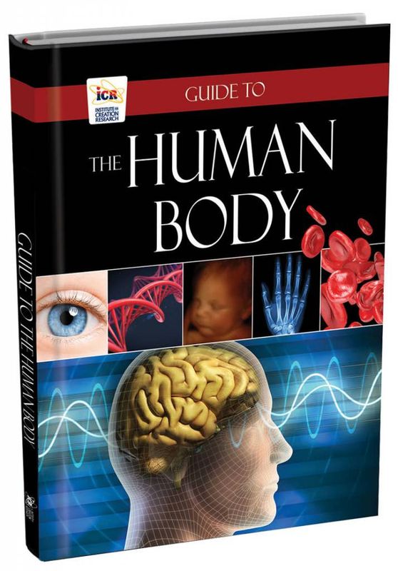 Guide to the Human Body