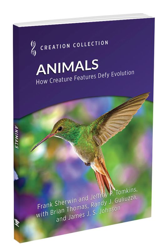 Animals: How Creature Features Defy Evolution