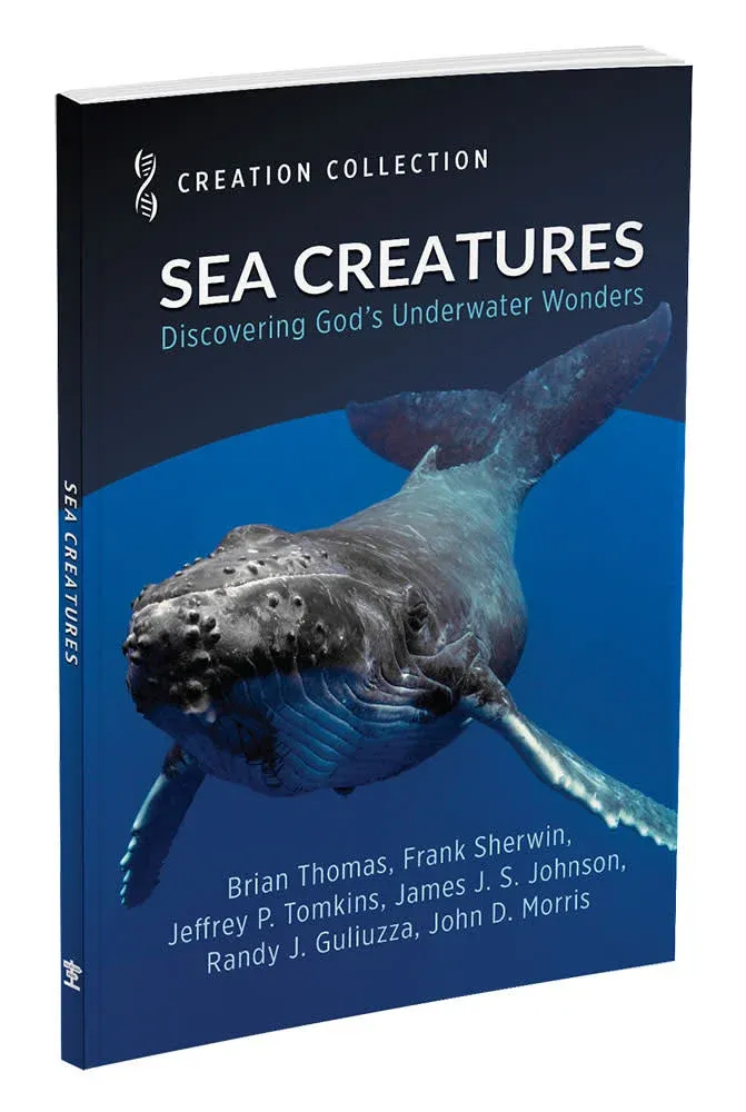 Sea Creatures: Discovering God’s Underwater Wonders Sea Creatures: Discovering God’s Underwater Wonders