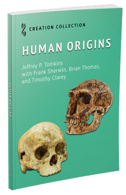 Human Origins