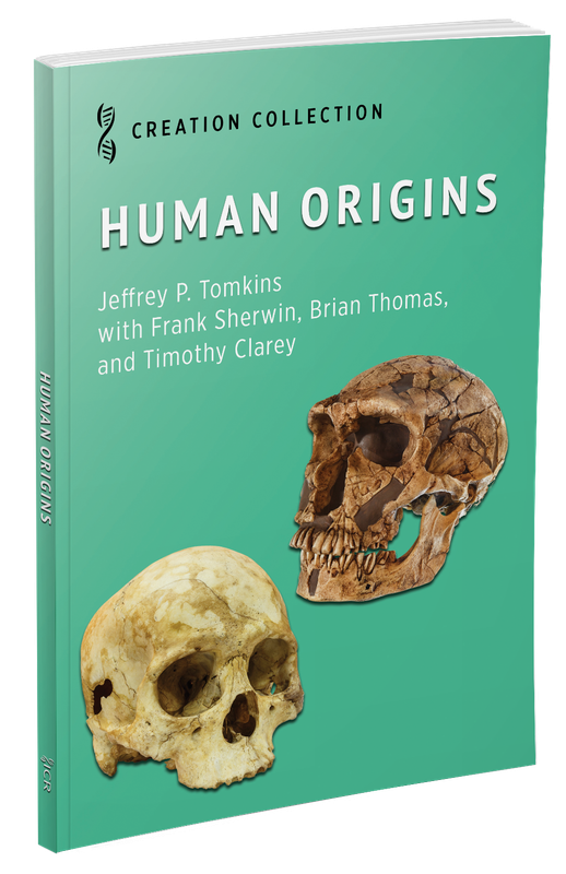 Human Origins