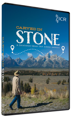 Carved in Stone DVD